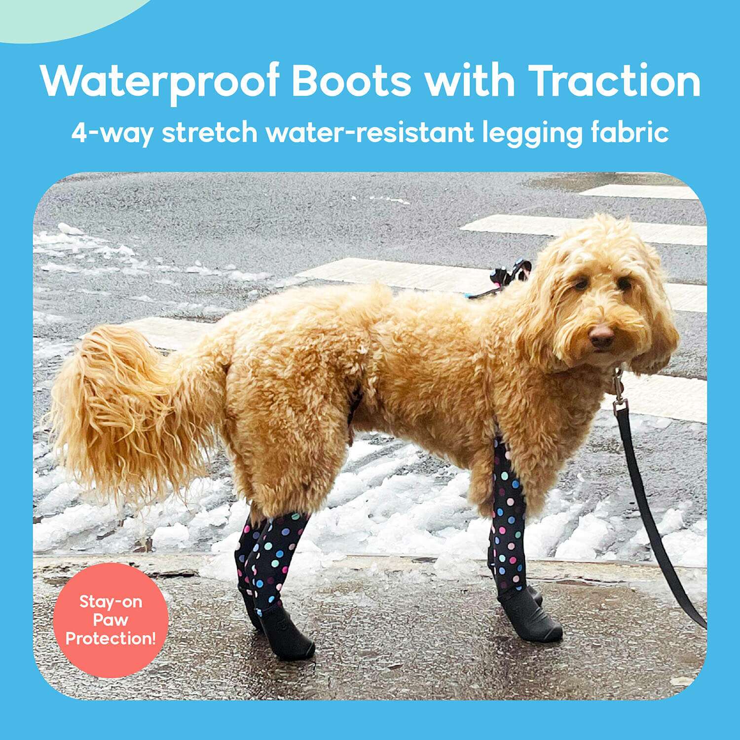 MOST PUP-ULAR PRODUCTS